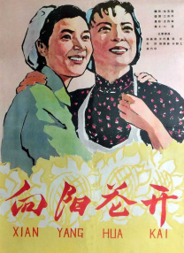 久久免费视频3